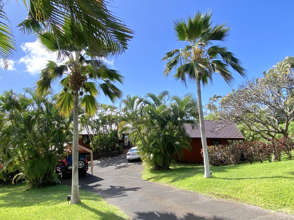 The upper driveway looking west towards the ocean.