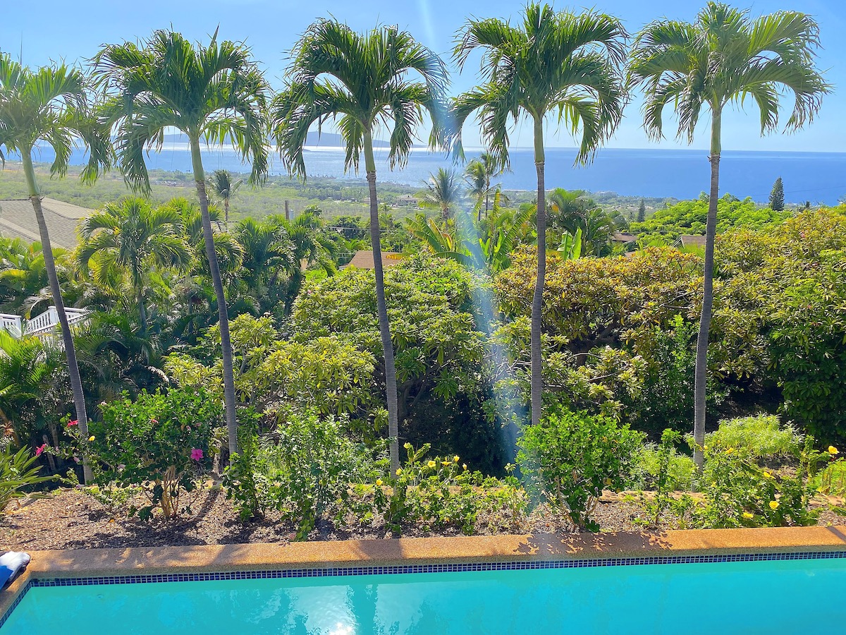 Pool and plumeria grove from the upper lanai.